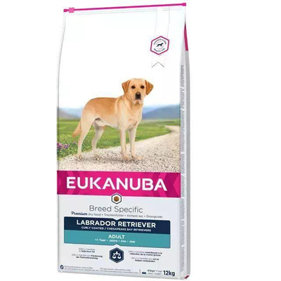 eukanuba adult labrador