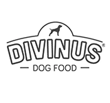 Divinus