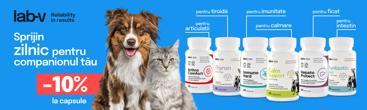 Lab-v kapsułki -10%