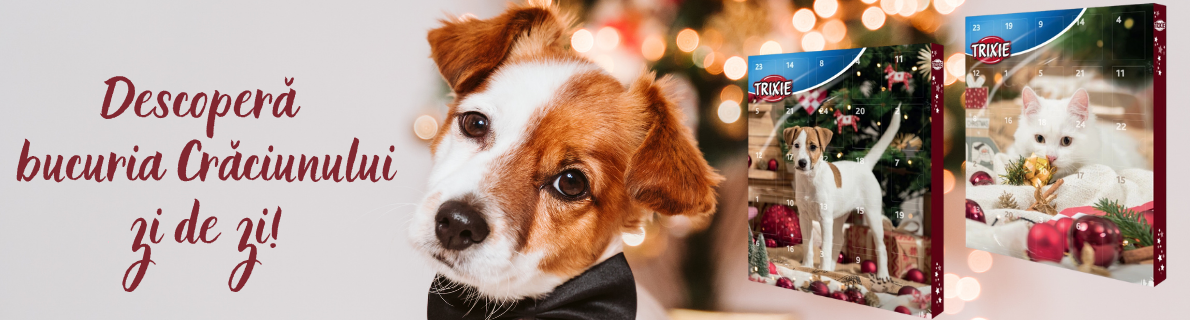 Calendarul Adventului 3.11.2025