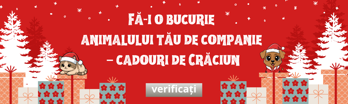 Cadouri de Crăciun 14.11.2025