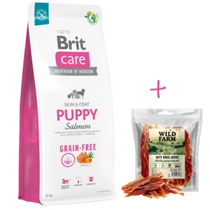 BRIT CARE Dog Grain-free Puppy Salmon 12 kg + WILD FARM piept de rață moale 500 g gustare pentru câini