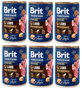 Brit Premium by Nature Miel cu fulgi de grâu 6x400g