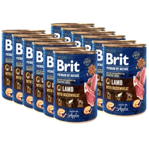 Brit Premium by Nature Miel cu fulgi de grâu 12x400g