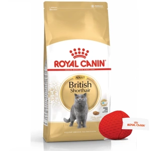 ROYAL CANIN British Shorthair 10 kg hrană uscată pentru pisici adulte British Shorthair + minge pentru pisici Royal Canin GRATUIT!