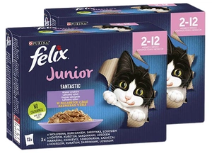 Felix Fantastic Junior în jeleu 24x85g