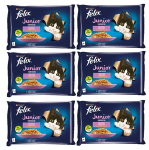 FELIX Fantastic Junior jeleu de pui și somon 12x(4x85g)
