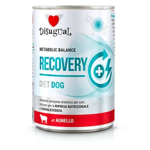 Disugual Hrană umedă pentru câini Veterinary RECOVERY Lamb (adult) 400g