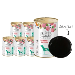4Vets pentru câini Hepatic 6x400g