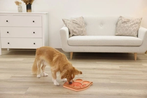 Jucărie educativă pentru câini Kerbl, bufniță, roz/maro, 30 x 28 cm