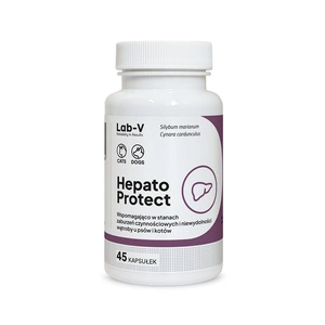 Lab-v Hepato Protect – Suport pentru funcția hepatică la câini și pisici, 45 capsule