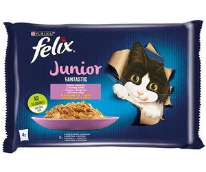 FELIX Fantastic Junior în jeleu cu pui și somon 4x85g