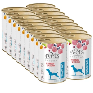 4Vets Dog Skin Support 24x400 g