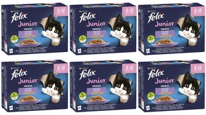 Felix Fantastic Junior în jeleu 72x85g