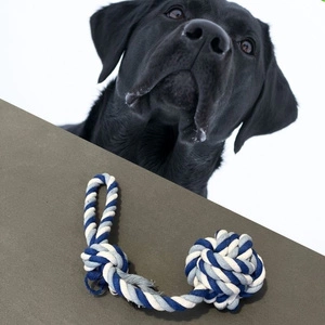 Tug pentru câini 33cm