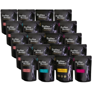 Dolina Noteci Premium Fillet Mix de arome pentru pisici 20x85g