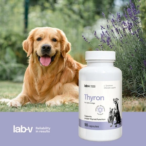 LAB-V Thyron - Sprijinirea funcției tiroidiene normale pentru câini și pisici 90 capsule