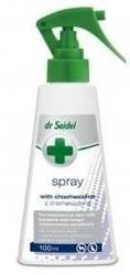 Laboratorium DermaPharm Dr. Seidel Clorhexidină Spray 100ml