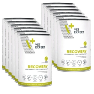 VETEXPERT Dietă veterinară Recovery 12x400g