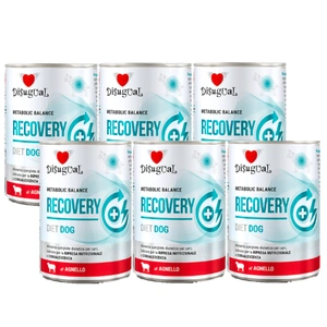 Disugual Hrană umedă pentru câini Veterinary RECOVERY Lamb (adult) 6x400g