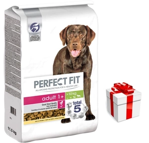 Perfect Fit™ - hrană uscată completă pentru câini adulți de talie medie și mare, bogată în carne de pui 11.5kg+Dog Surprise