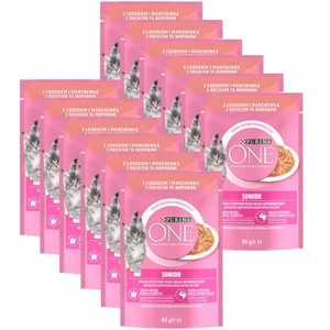 Purina One Junior cu somon și morcovi 12x85g