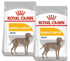 ROYAL CANIN CCN Maxi Dermacomfort 2x12kg hrană uscată pentru câini adulți, rase mari, cu piele sensibilă predispusă la iritații