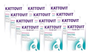 Kattovit Gastro somon 12x85g pungă