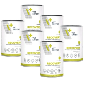 VETEXPERT Dietă veterinară Recovery 6x400g