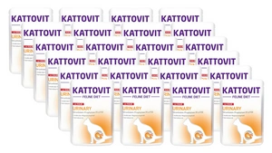 Kattovit Urinary vițel 24x85g plic