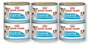 ROYAL CANIN Starter Mousse Mother & Babydog 6x195g