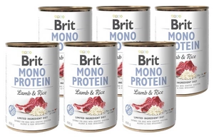 Brit Mono Protein cu miel și orez 6x400g