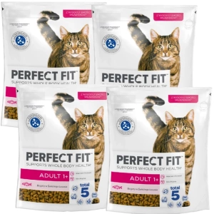 PERFECT FIT Adult 1+ cu somon 4x750g