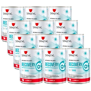 Disugual Hrană umedă pentru câini Veterinary RECOVERY Lamb (adult) 12x400g