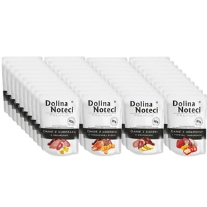 DOLINA NOTECI Mâncare pentru câini cu pui și paste 40x100 g – hrană umedă pentru câini