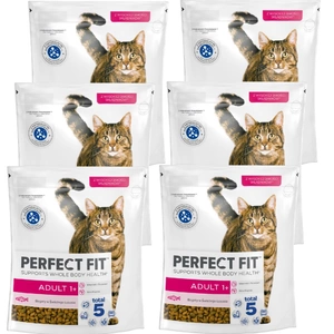 PERFECT FIT Adult 1+ cu somon 6x750g