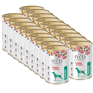 4Vets pentru câini Hepatic 18x400g