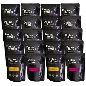 Dolina Noteci Premium file de piept Mix de arome pentru pisici 20x85g