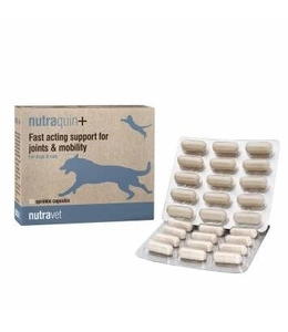 NUTRAVET Nutraquin Plus For Dogs & Cats 30 de capsule - oferă sprijin rapid animalelor care suferă de rigiditate articulară.