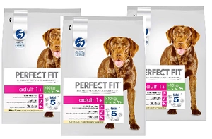 PERFECT FIT Adult 1+ Rase mari cu pui 3x825g