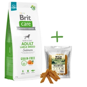 BRIT CARE Dog Grain-free Adult Large Breed Salmon 12 kg + WILD FARM multivitamine fileuri de cartofi dulci 500 g gustare pentru câini