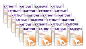Kattovit Urinary somon 24x85g pungă