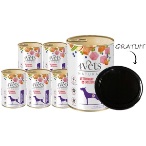 4Vets pentru câini Gastro Intestinal 400g