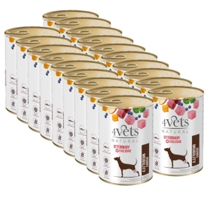 4Vets Mobilitate articulară pentru câini 18x400g