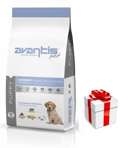 Avantis Puppy 15kg+ surpriză de câine