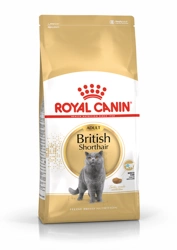 ROYAL CANIN British Shorthair Adult 10kg + SURPRIZĂ PENTRU PISICĂ !!!