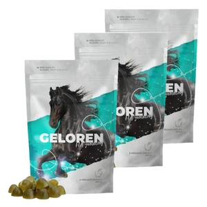 GELOREN HA gel pentru susținerea articulațiilor la cai 3x450G