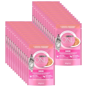 Purina One Junior cu somon și morcovi 24x85g