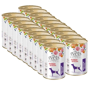 4Vets pentru câini Gastro Intestinal 18x400g