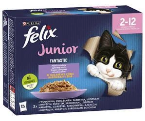 Felix Fantastic Junior în jeleu 12x85g